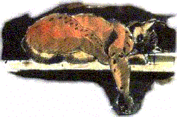 linx.gif